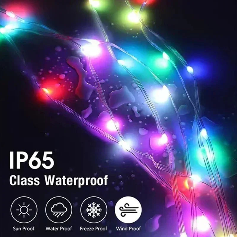 RGBIC Christmas Bluetooth String Lights